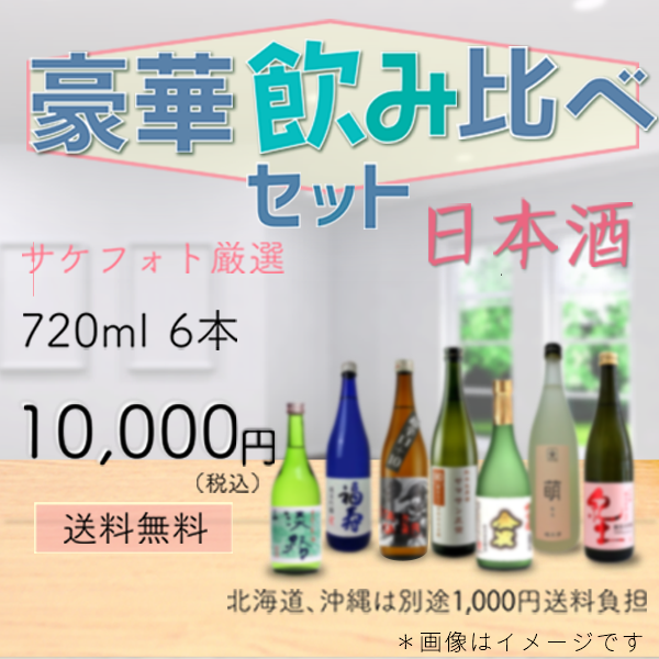 【日本酒】酒屋がオススメする！厳選飲み比べセット 720ml 6本